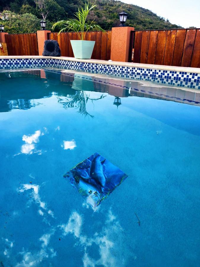 Royal Vybez Vacation Homes Spanish Town Εξωτερικό φωτογραφία